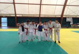 24.03.2014 - A Ferrara venti judoka  del...